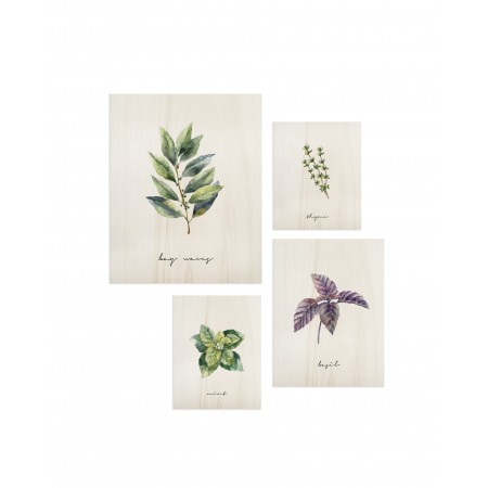 Pack de quadros Plants