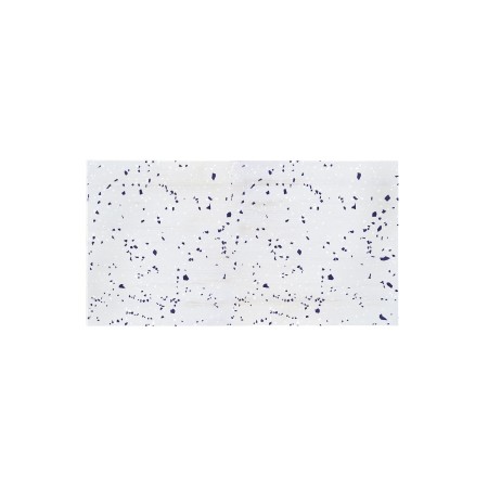 Cabeceira decapada Terrazzo white