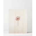 Caixa de madera Dandelion