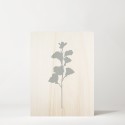 Caixa de madera Blue Plant I