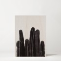 Caixa de madera Cactus